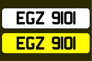 EGZ 9101