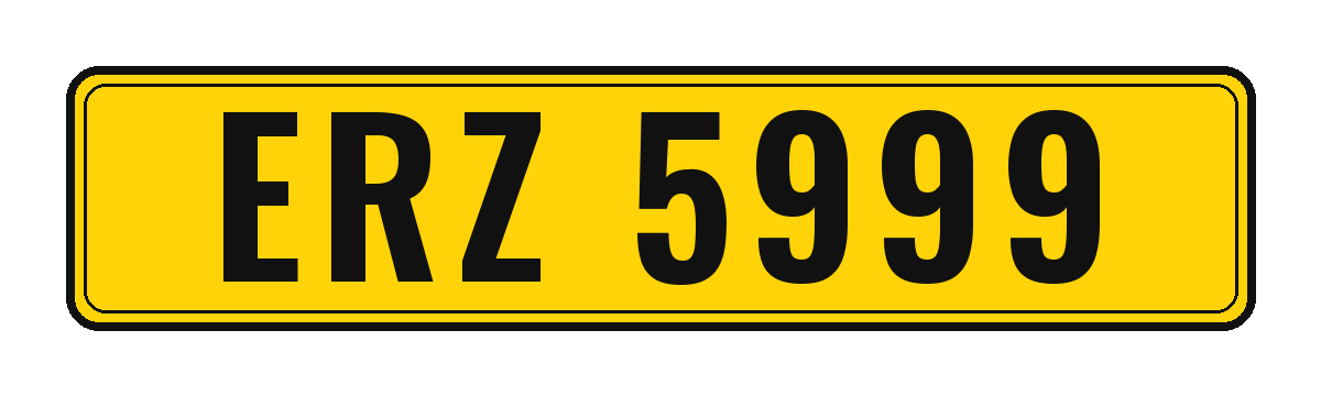 Number plate ERZ 5999