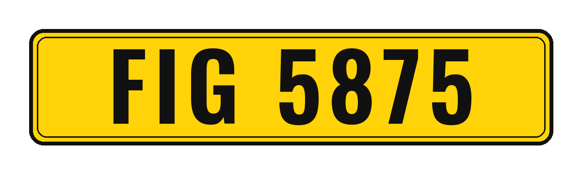 Number plate FIG 5875