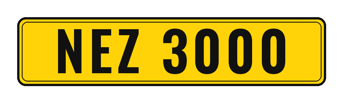 Number plate NEZ 3000