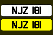 NJZ 181