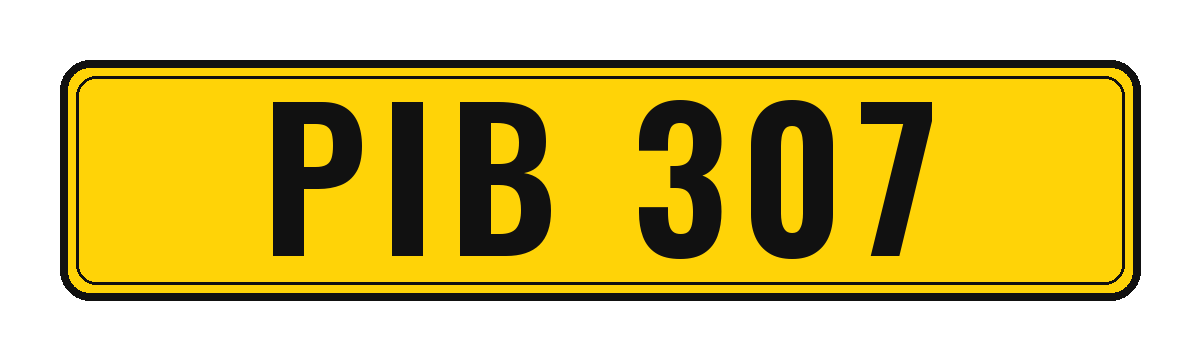 Number plate PIB 307