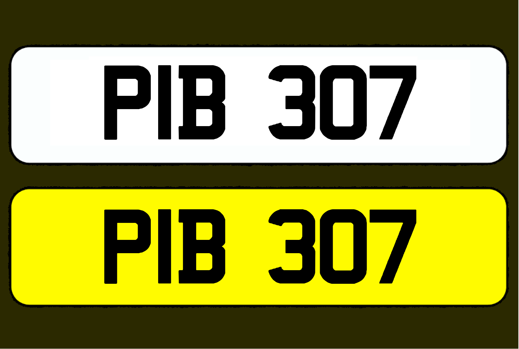 PIB 307