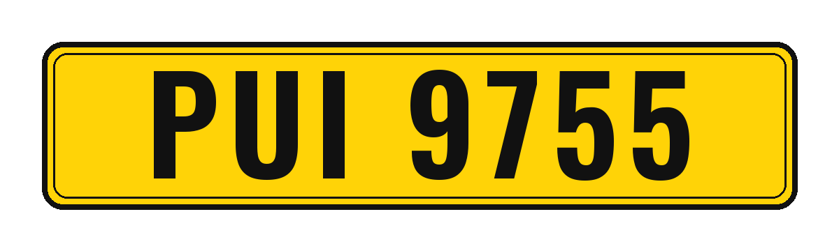 Number plate PUI 9755