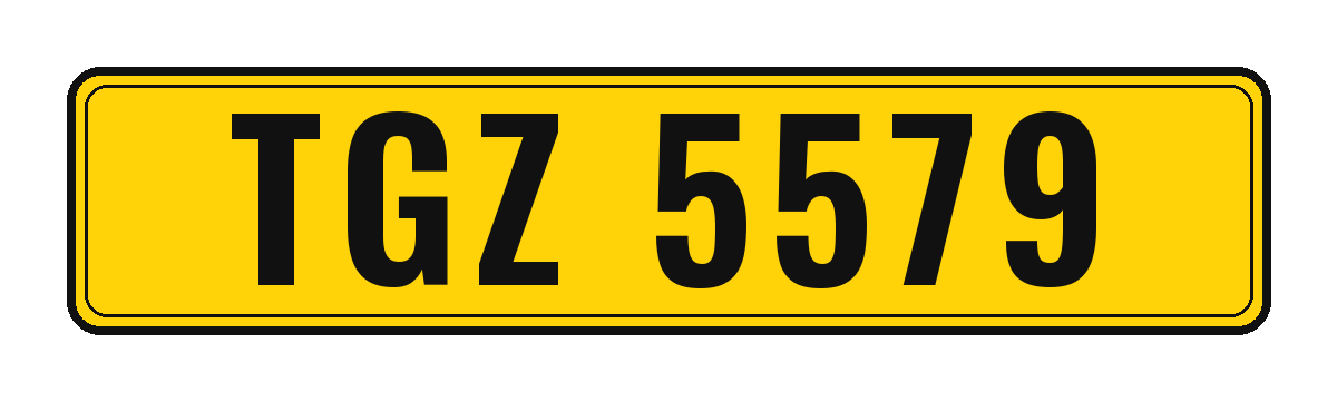 Number plate TGZ 5579